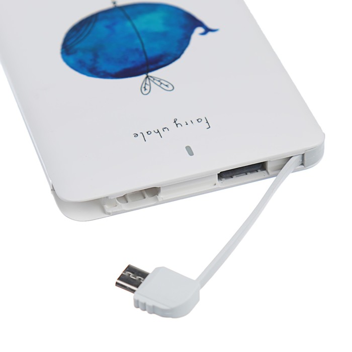 Внешний аккумулятор LuazON Home "Кит", 4000 мАч,провод microUSB,переходник для iPhone 5-X