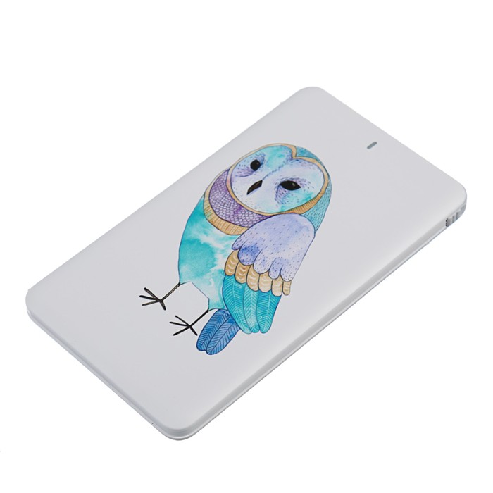 Внешний аккумулятор LuazON Home "Сова", 4000 мАч, провод microUSB, переходник для iPhone 5-X