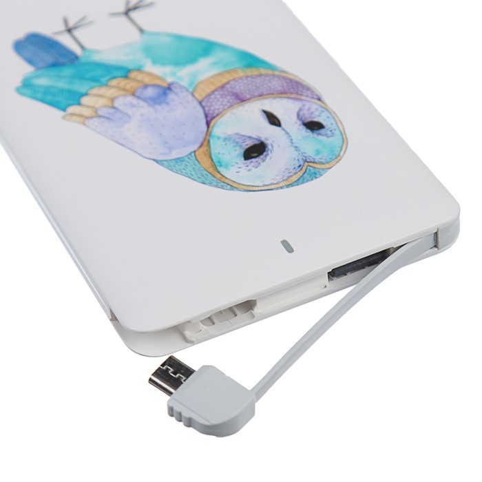 Внешний аккумулятор LuazON Home "Сова", 4000 мАч, провод microUSB, переходник для iPhone 5-X