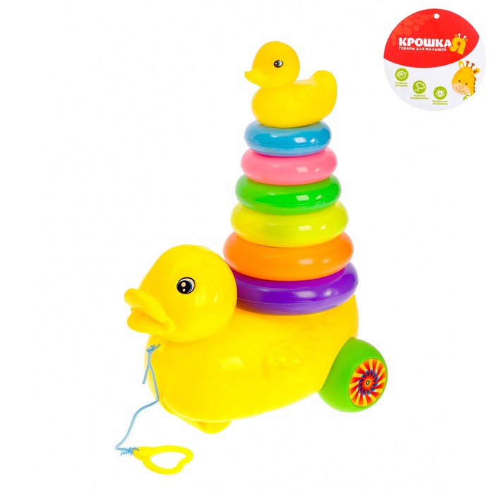 Пирамидка-каталка «Уточка», 6 колец