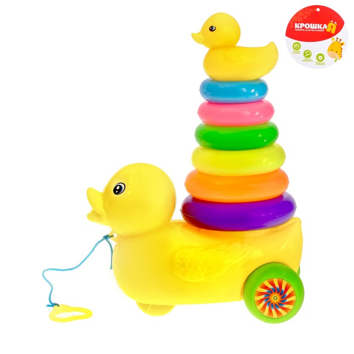 Пирамидка-каталка «Уточка», 6 колец