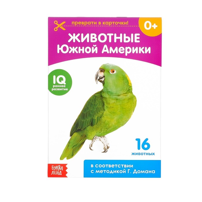 Обучающая книжка по методике Г. Домана "Животные Южной Америки"  20 стр.
