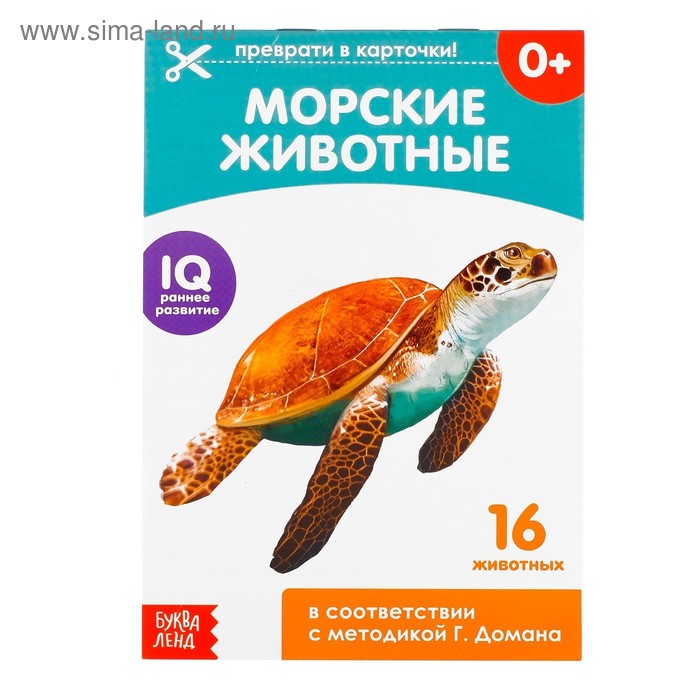 

Обучающие карточки Г. Домана «Морские животные», на скрепке, 20 стр.
