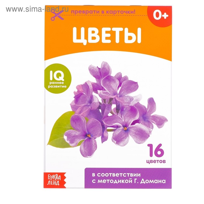 

Обучающие карточки Г. Домана «Цветы», на скрепке, 20 стр.