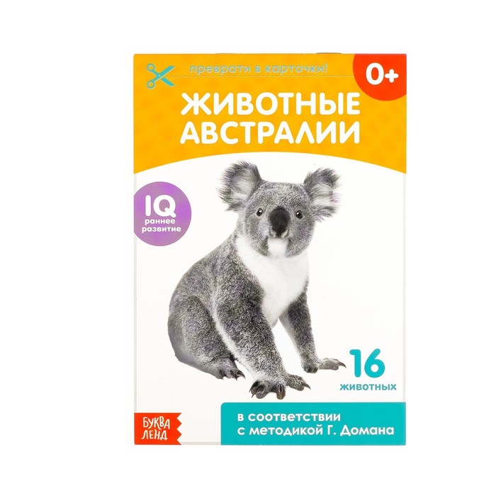 Обучающая книжка по методике Г. Домана "Животные Австралии"  20 стр.