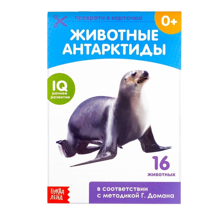 Обучающая книжка по методике Г. Домана "Животные Антарктиды"  20 стр.
