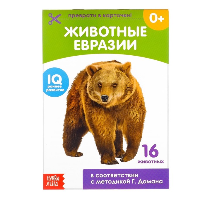 Обучающая книжка по методике Г. Домана "Животные Евразии"  20 стр.