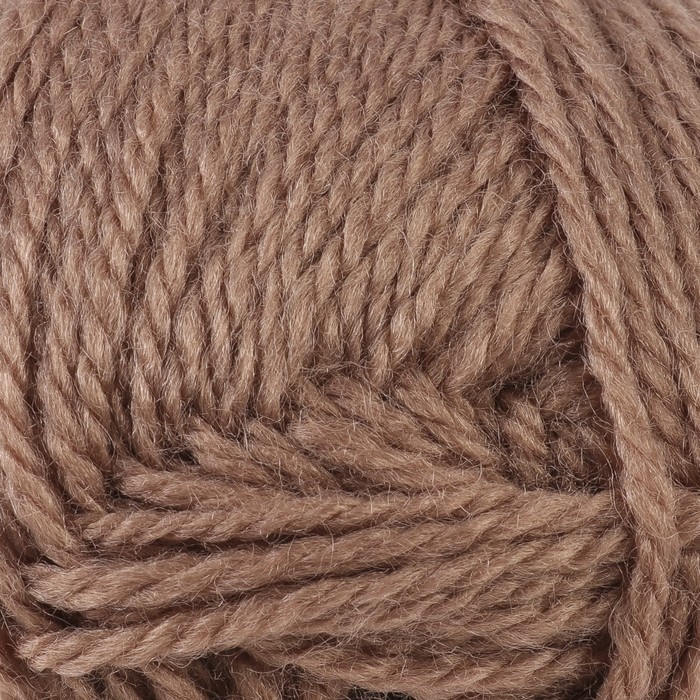 Пряжа "Woolly Baby" 30% шерсть,50% акрил, 20% полиамид 148м/50гр (К885 св. коричневый)