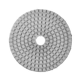 Алмазный гибкий шлифовальный круг TUNDRA "Черепашка", для мокрой шлифовки, 100 мм, № 5000