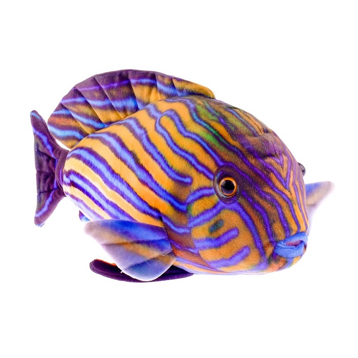 Мягкая игрушка "Рыба Хирург Полосатый", 30 см