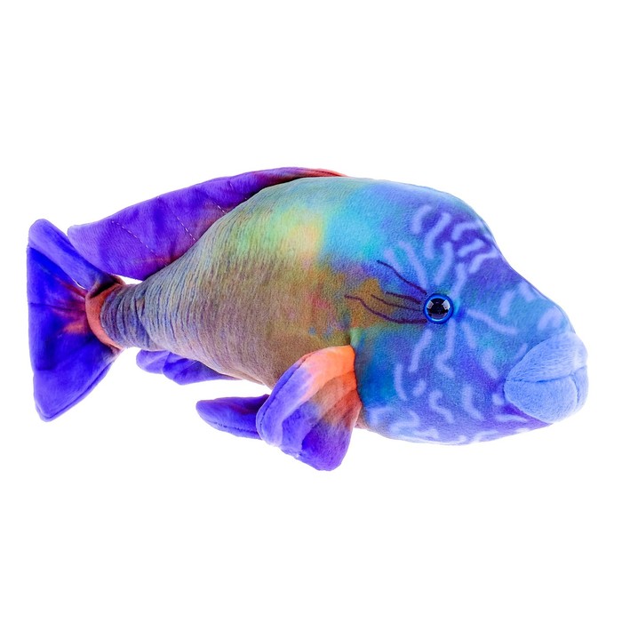 Мягкая игрушка "Рыба Наполеон", 30 см