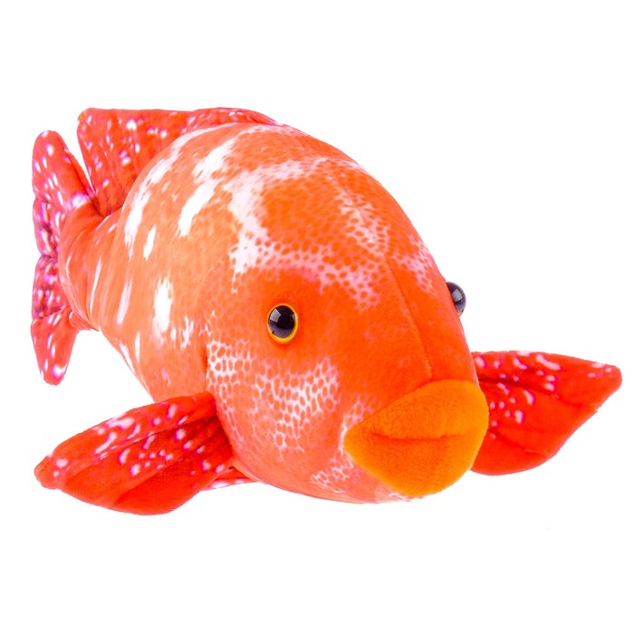 Мягкая игрушка "Рыба Групер", 30 см