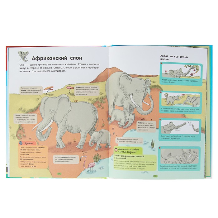 Мой первый атлас мира