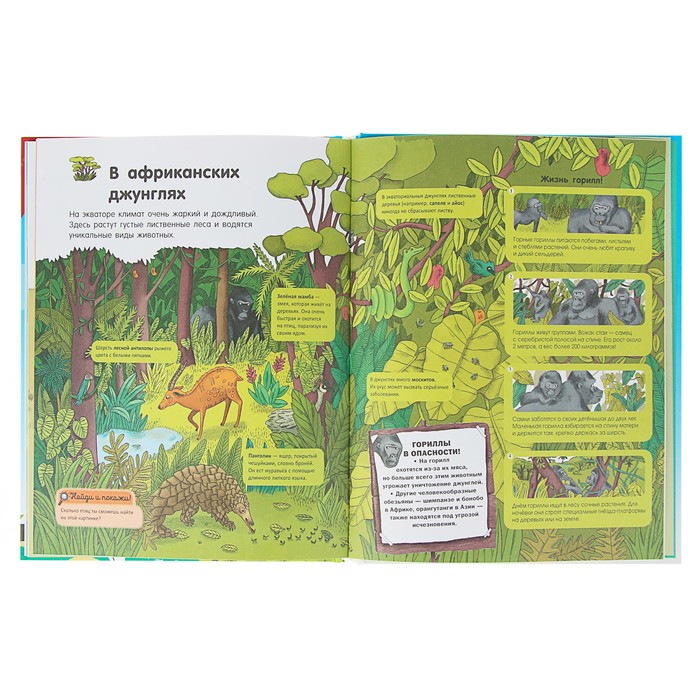 Мой первый атлас мира