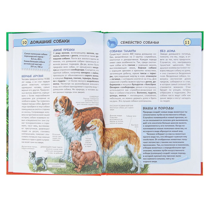 Популярная энциклопедия. Хищные животные. Опасные, дикие, домашние. Автор: Школьник Ю.К.