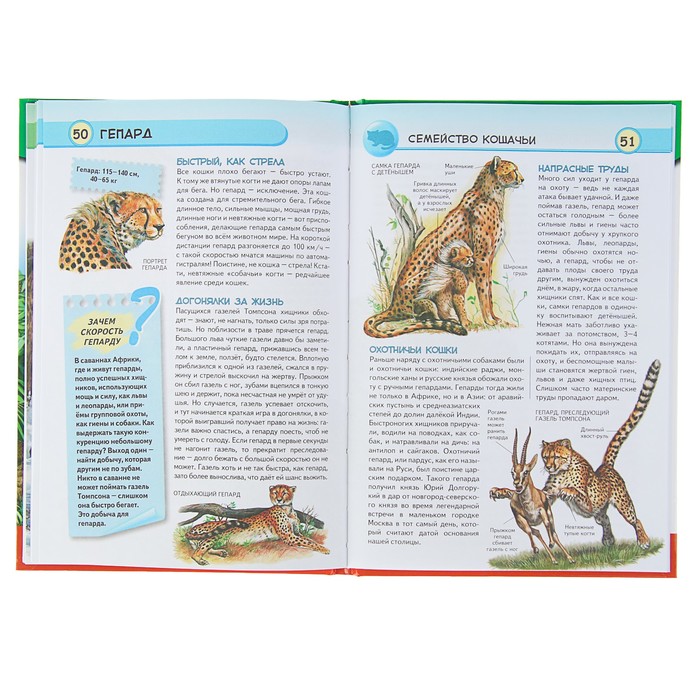 Популярная энциклопедия. Хищные животные. Опасные, дикие, домашние. Автор: Школьник Ю.К.