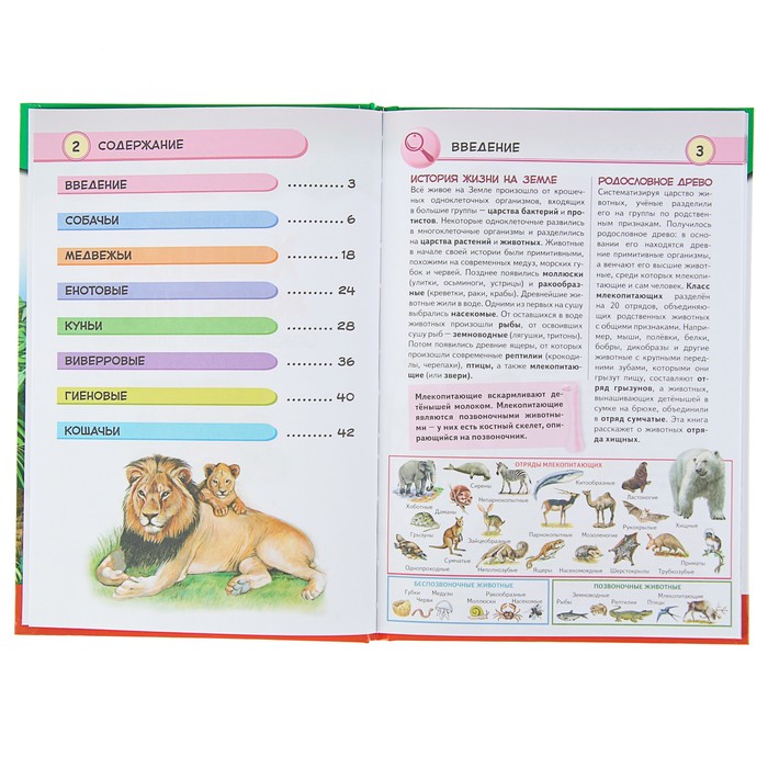 Популярная энциклопедия. Хищные животные. Опасные, дикие, домашние. Автор: Школьник Ю.К.