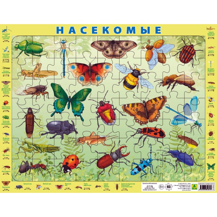 Пазл на подложке "Насекомые России", 63 элемента