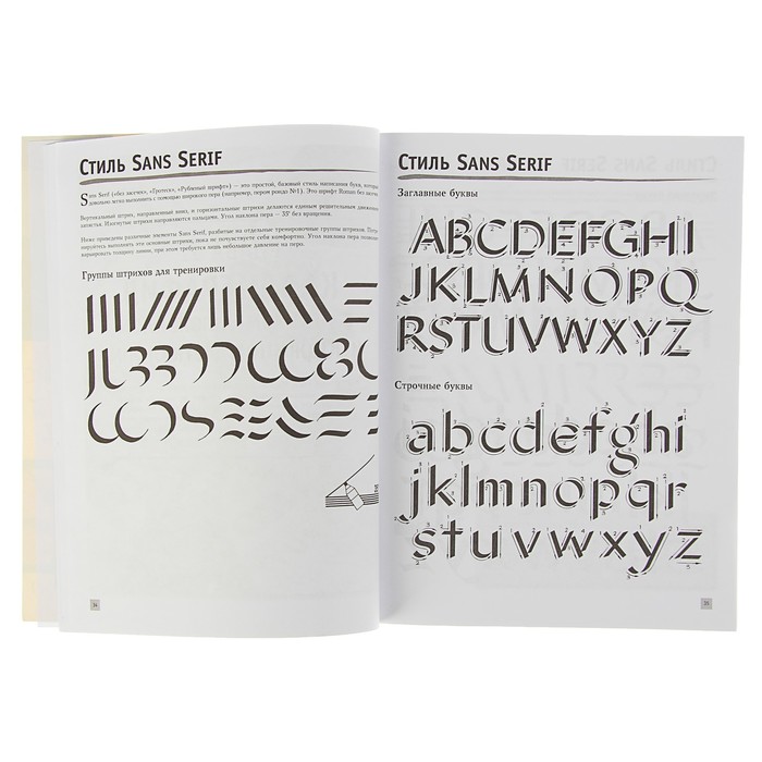 Полный курс рисования. Леттеринг. Экспресс-курс