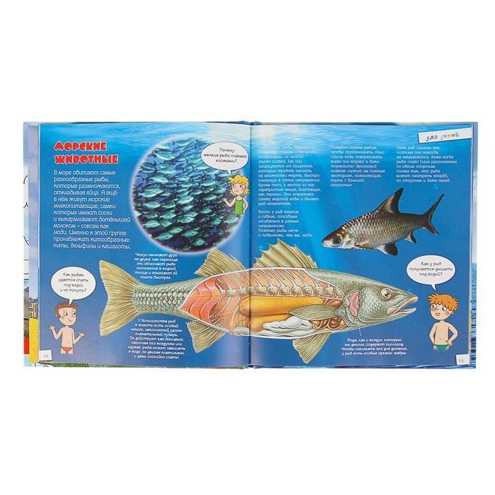 Для детей. Море. Автор: Лепти Э.