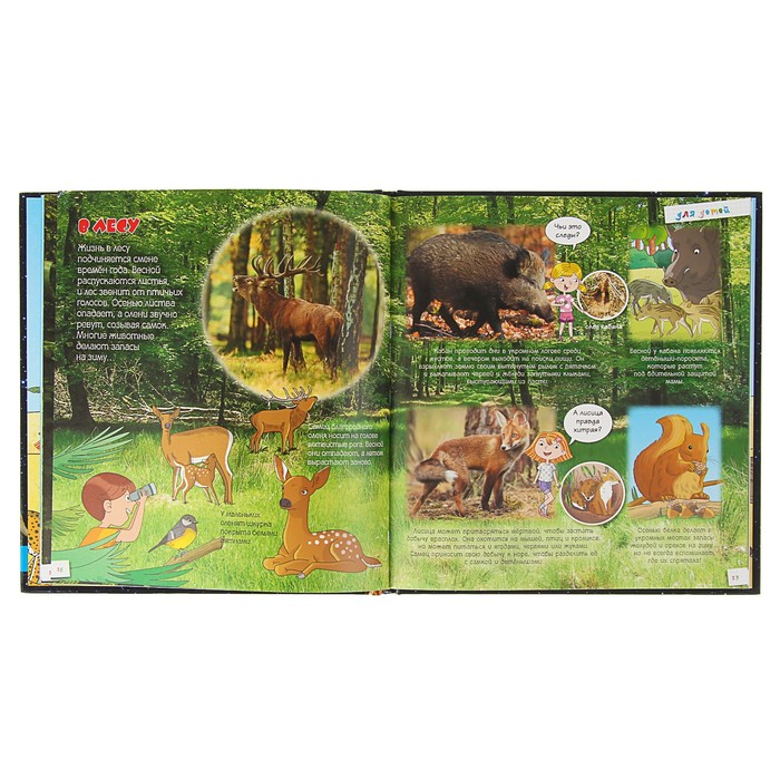 Для детей. Животные. Автор: Лепти Э