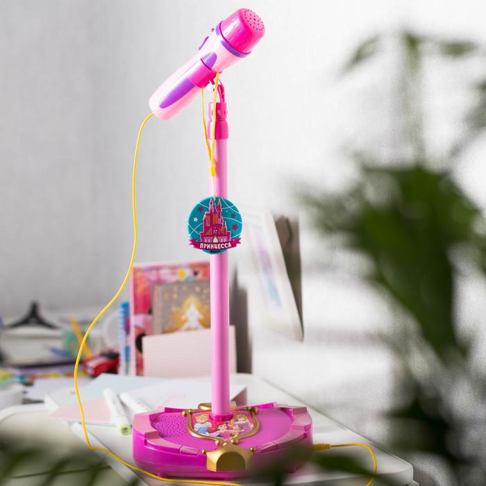 Микрофон "Волшебная песня", Принцессы