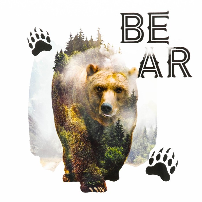 Термонаклейка для взрослых BEAR, 14 х 14 см