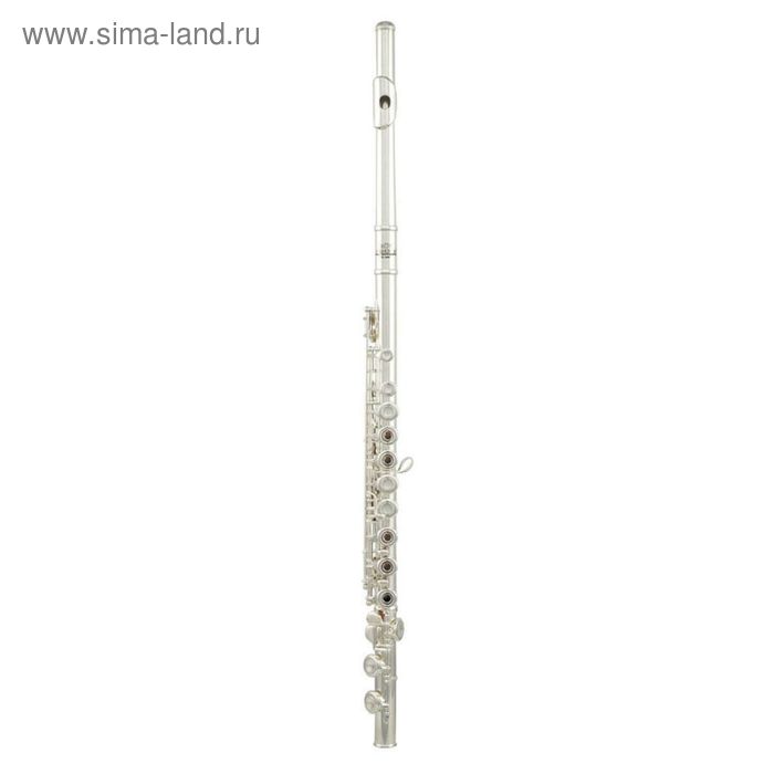 Флейта ROY BENSON FL-402R поперечная, серия: Student Pro, посеребренный нейзильбер