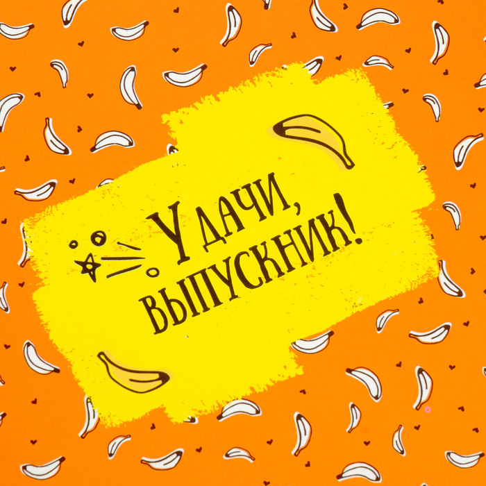 Фотокнига "Выпускник детского сада!", Гадкий я, 12 листов, 19х20 см