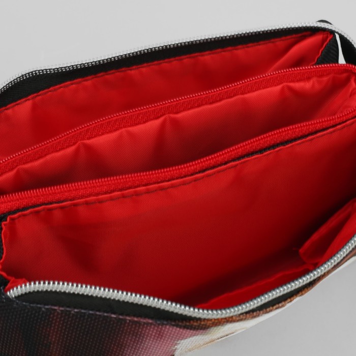 Косметичка простая «Щенок», 3 отдела на молнии