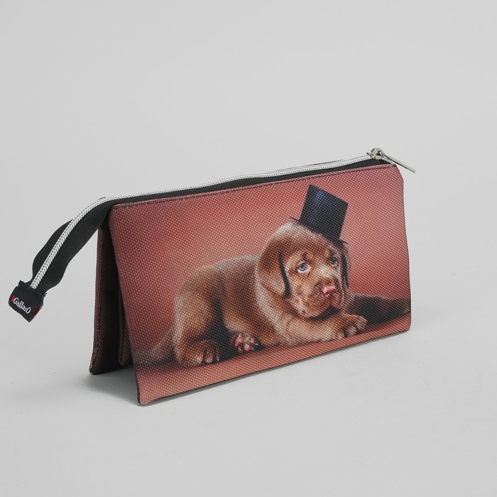 Косметичка простая «Лабрадор», 3 отдела на молнии