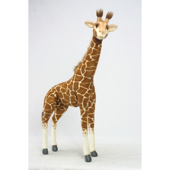 Мягкая игрушка "Жираф", 70 см