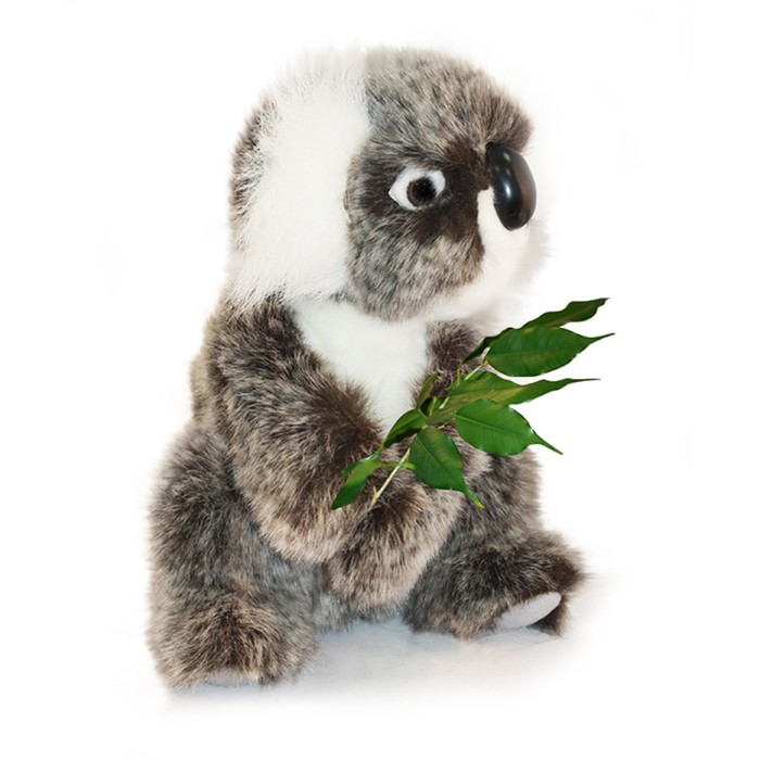 Мягкая игрушка "Коала", 21 см