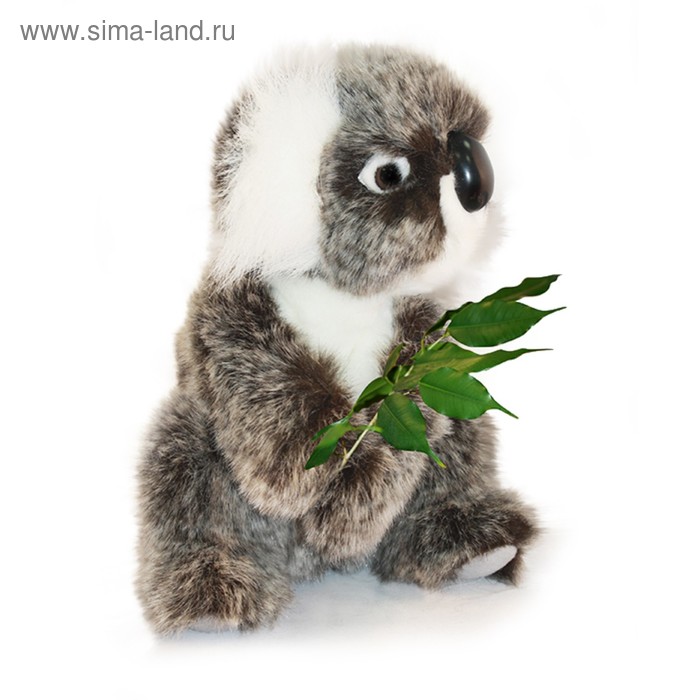 

Мягкая игрушка «Коала», 21 см