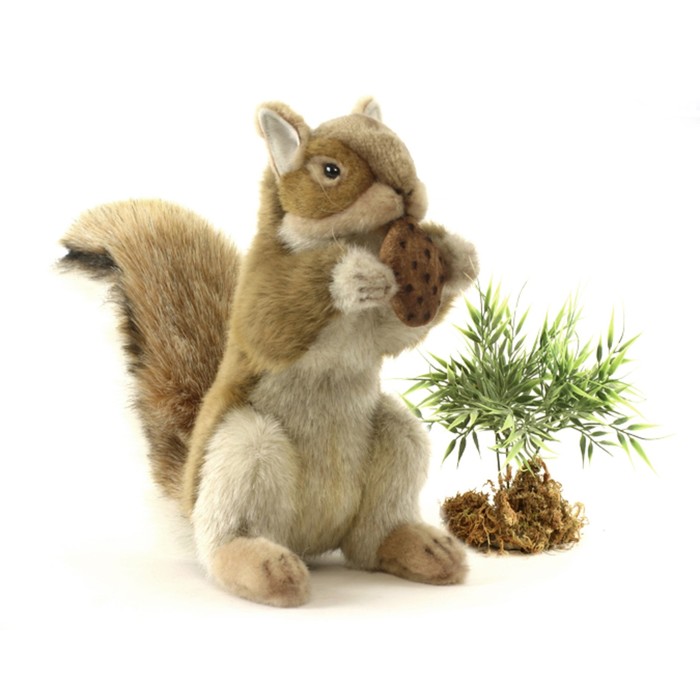 Мягкая игрушка "Рыжая белка с орехом", 22см