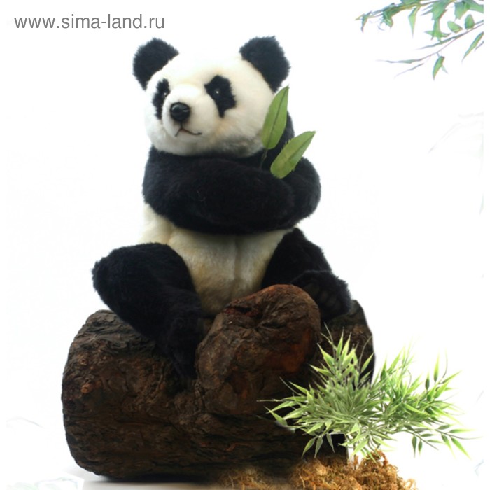 От 20 до 50 см  Сима-Ленд Мягкая игрушка «Панда», 25 см