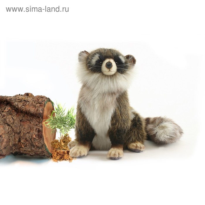

Мягкая игрушка «Енот», 24 см