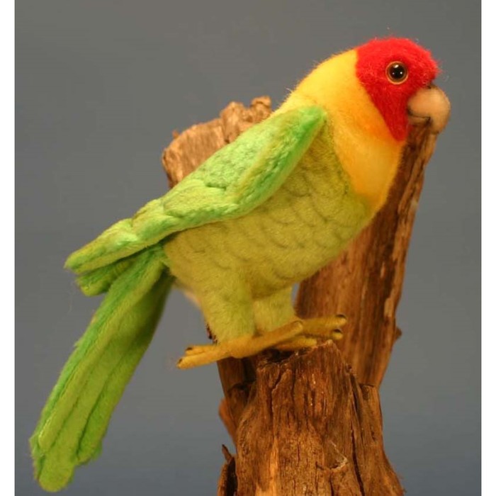 Мягкая игрушка "Каролинский попугай", 17 см