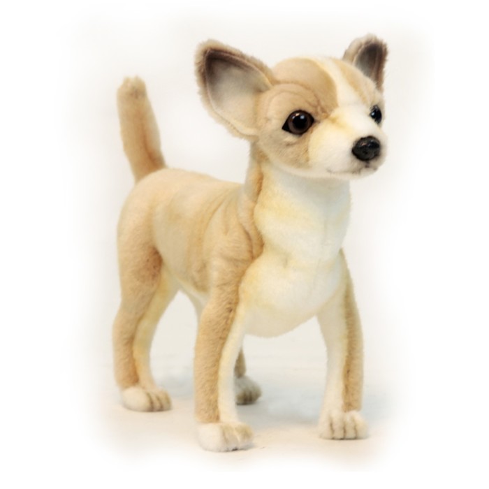Мягкая игрушка "Чихуахуа", 27 см
