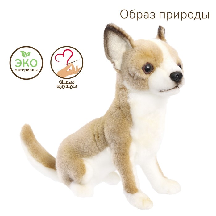 Мягкая игрушка "Собака породы Чихуахуа", 31 см