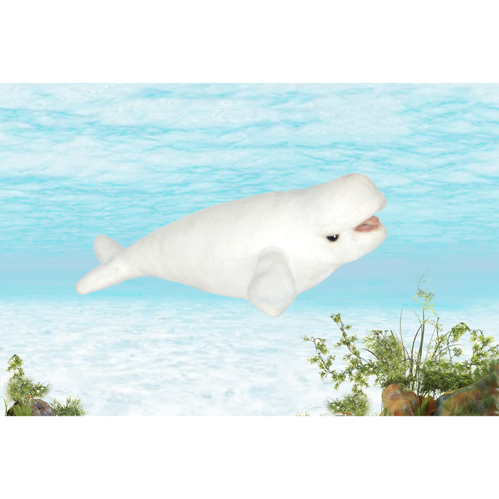 Мягкая игрушка "Кит Белуха", 25 см