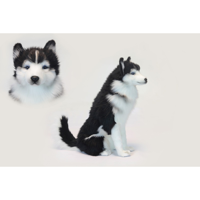 Мягкая игрушка "Хаски", 37 см