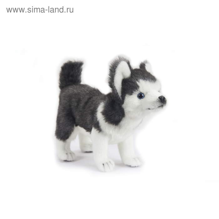 

Мягкая игрушка «Щенок Хаски», 20 см