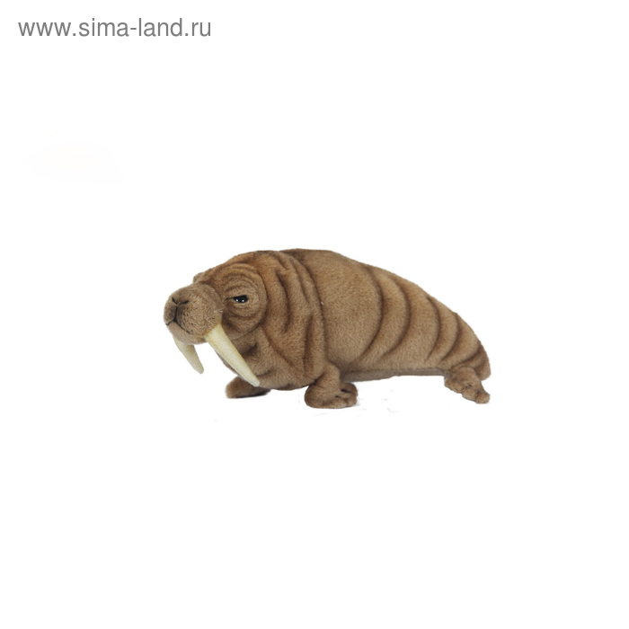 Мягкая игрушка «Морж», 26 см
