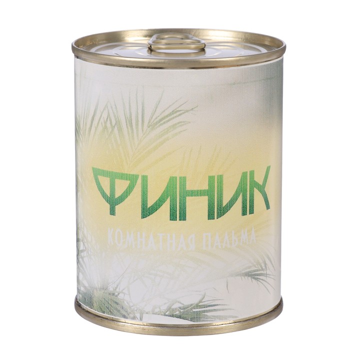 Растущая травка в банке "Финик - комнатная пальма"