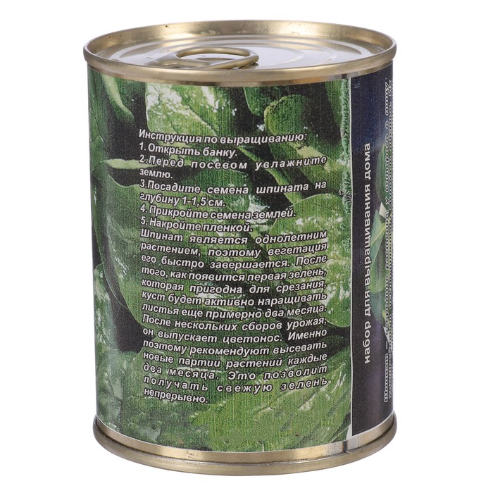 Растущая травка в банке "Шпинат"