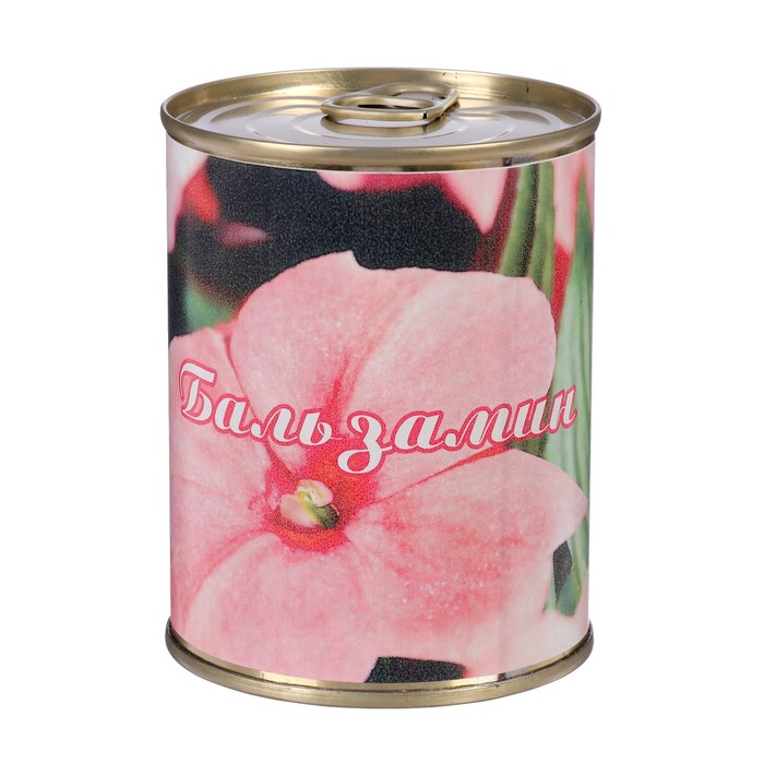 Растущая травка в банке "Бальзамин"