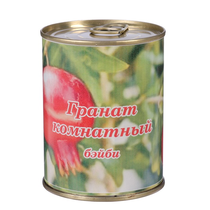 Растущая травка в банке "Гранат комнатный"