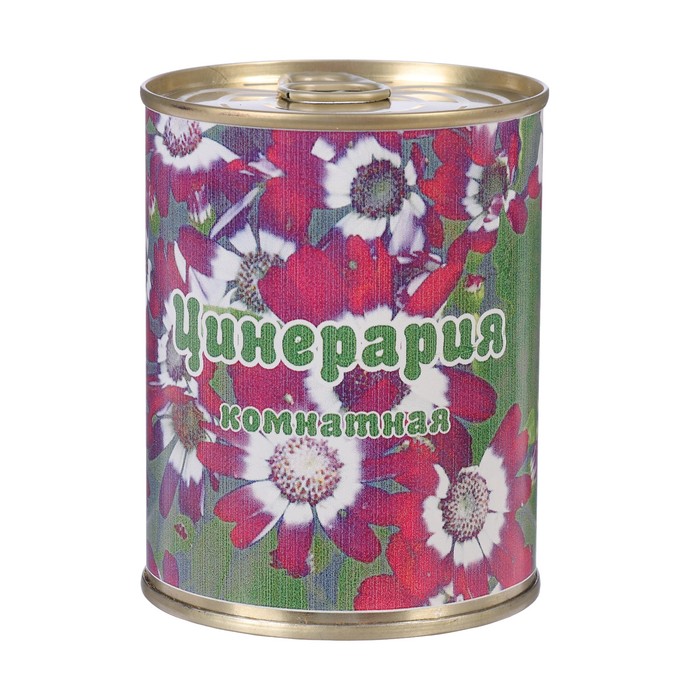 Растущая травка в банке "Цинерария комнатная"