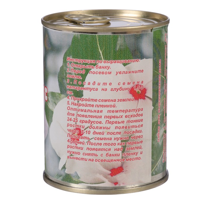 Растущая травка в банке "Катарантус леденцы"